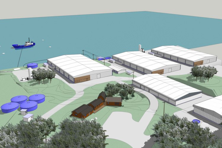 Dos nuevos proyectos de construcción de pisciculturas RAS