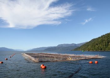 Sedimentos del Fiordo Puyuhuapi serían reservorios de genes de resistencia a antibióticos