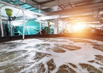 La desinfección por luz UV en acuicultura