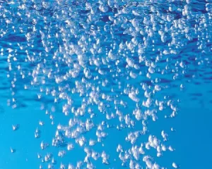 Efectos del uso de microburbujas en sistemas RAS