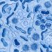 Los riesgos bacterianos en los sistemas RAS se pueden gestionar