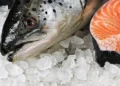 Empresa brasileira JBS tras los pasos del salmón chileno