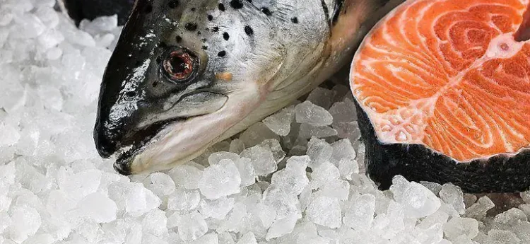Empresa brasileira JBS tras los pasos del salmón chileno
