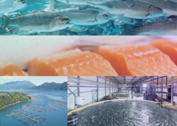  La FAO lidera los esfuerzos mundiales para fortalecer la acuicultura para la alimentación y el desarrollo sostenible