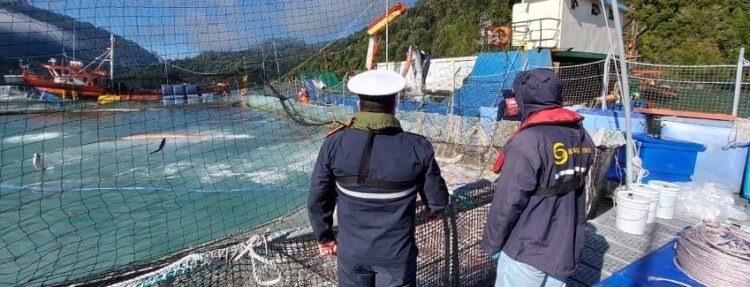 Activan plan de contingencia por FAN en 13 centros