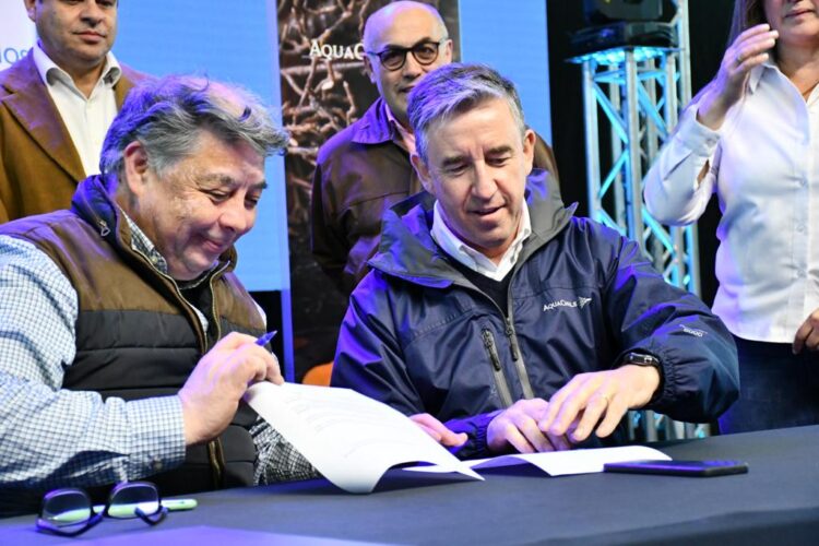 Trazando un Mar de Éxito: Sady Delgado impulsa el desarrrollo de la salmonicultura en Magallanes