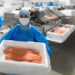 Salmón impulsa el crecimiento de las exportaciones de la región de Los Lagos