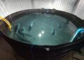 Expondrán sobre tecnologías aplicables al cultivo de peces marinos nativos