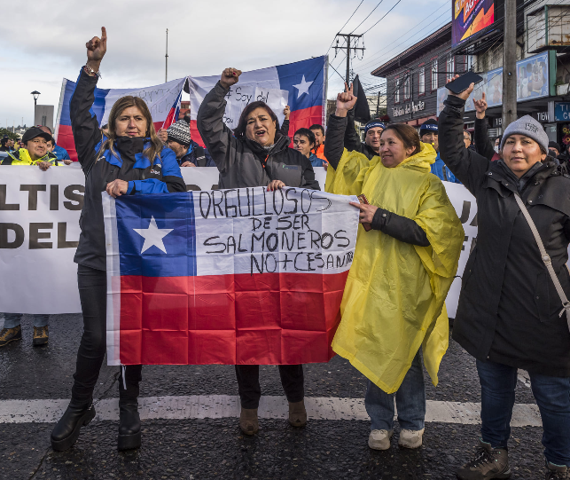 Proponen declarar el Día del Trabajador y la Trabajadora de la salmonicultura en Chile
