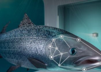 iFarm: reconoce peces individuales en la jaula mediante inteligencia artificial