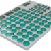 Proyecto ECOshrimp avanza a la etapa de siembra