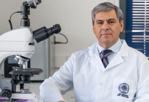 Los corpúsculos de Stannius: guardianes del calcio en peces