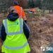 Escocia: fijan zonas de restricción en zonas de alto riesgo para salmón salvaje