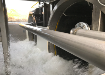 Contra el Caligus: Hydrolicer promete eficiencia y bienestar animal