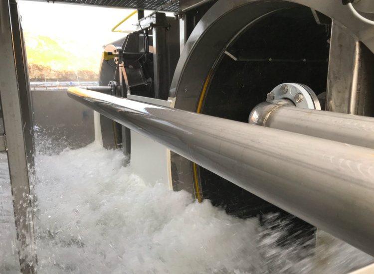 Contra el Caligus: Hydrolicer promete eficiencia y bienestar animal