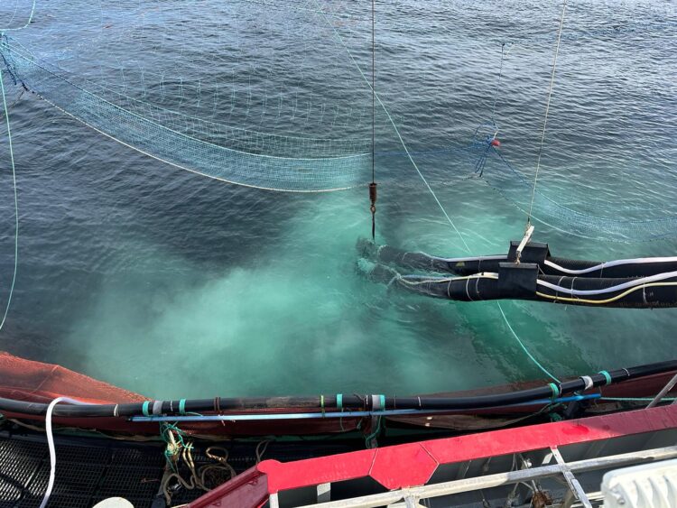 Desafíos en el manejo del piojo de mar y el impacto ambiental