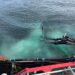 Desafíos en el manejo del piojo de mar y el impacto ambiental