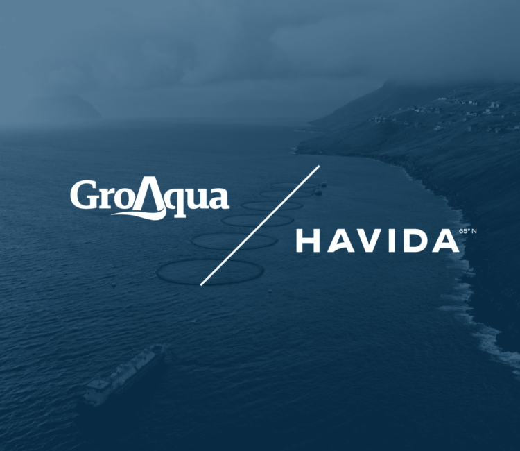 Fusión de Havida y GroAqua unen fuerzas para sostenibilidad de los peces