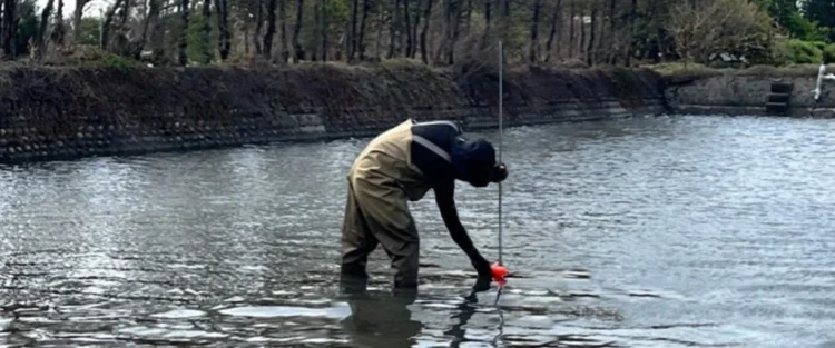 Taiwán establece metodologías de medición de carbono en sistema de estanques de peces