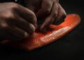 Hima Seafood busca diversificar la producción de su nueva planta