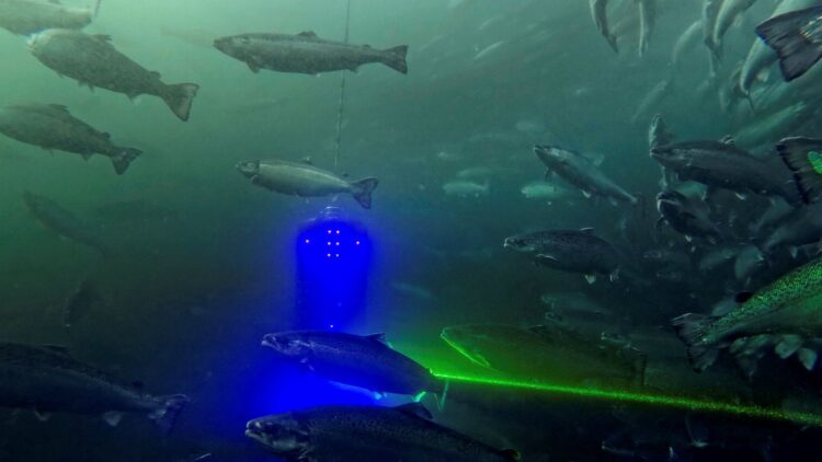 Nordlaks continúa invirtiendo en tecnología láser