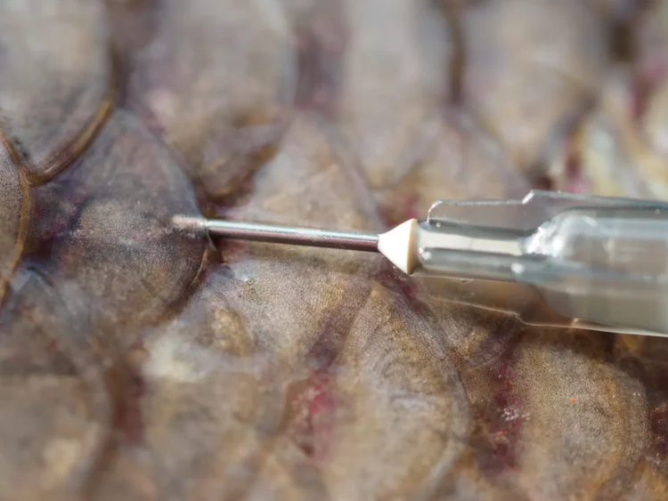 Tratado de libre comercio Noruega - Chile fija franquicia arancelaria para vacunas noruegas