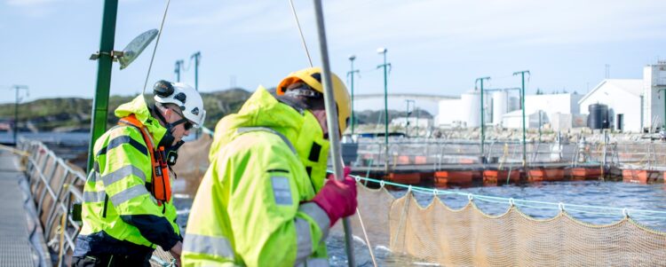 Lerøy introduce medidas para abordar los desafíos de la listeria