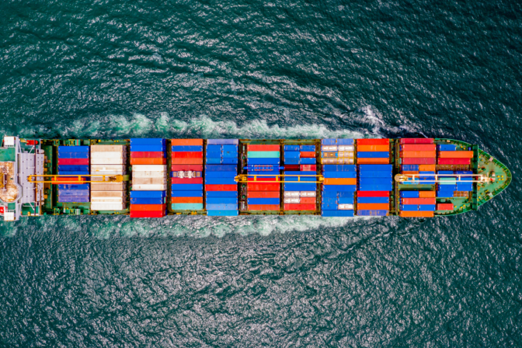 Exportaciones de salmón ascendieron a U$480,3 millones en diciembre de 2023