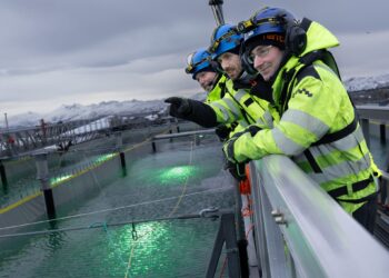 Gigante Salmon confirma muertes masivas de smolts