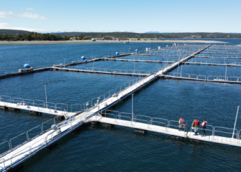 ALSURCheck: una innovación de ALSUR Ingeniería para asegurar la trazabilidad y mantenimiento de la infraestructura marítima