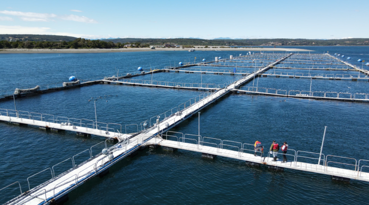 ALSURCheck: una innovación de ALSUR Ingeniería para asegurar la trazabilidad y mantenimiento de la infraestructura marítima