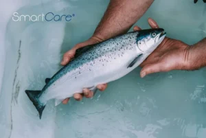 ¿Cómo ayudan los ingredientes naturales al salmón a lidiar con el estrés?