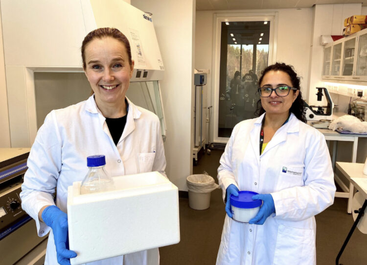 Descubrimientos Revolucionarios en Salmones: Secuenciación Unicelular Abre Nuevos Horizontes en Investigación Veterinaria