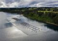 Salmonera Chilena reconocida  por las prácticas sostenibles