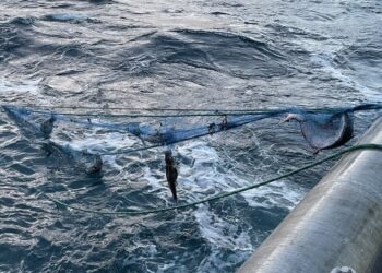 La experiencia noruega para abordar el tema medioambiental