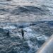 La experiencia noruega para abordar el tema medioambiental