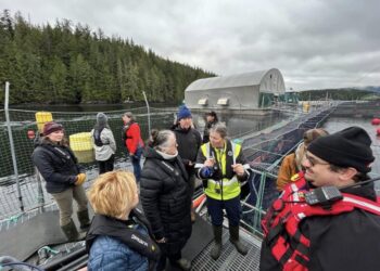Canada: salmonicultura en BC enfrenta crisis comunicacional