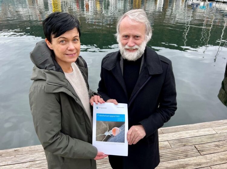 Instituto veterinario de Noruega entrega diagnóstico de la salud de los peces 2023