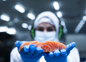 Cooke produce el primer salmón orgánico cultivado en Chile
