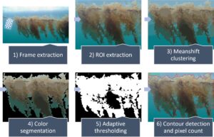 Estudio destaca la capacidad de ROVs de estimar biomasa