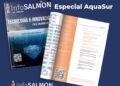 Descarga infosalmon 3