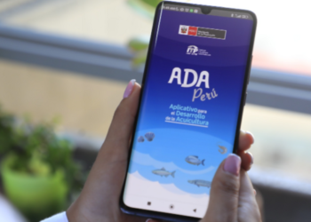 PRODUCE Perú  potencia sector acuícola a través de innovador aplicativo móvil gratuito “ADA Perú”