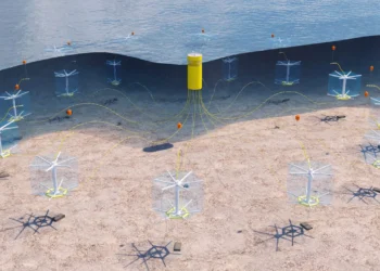 Proyecto busca instalar jaulas de piscicultura entre plataformas de turbinas eólicas