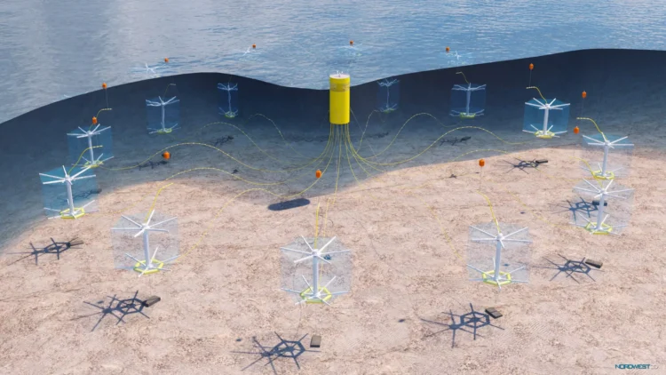Proyecto busca instalar jaulas de piscicultura entre plataformas de turbinas eólicas