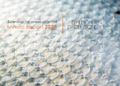 Salmon Evolution publica su Informe Anual Integrado 2023