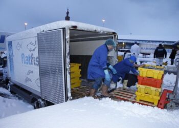 Implementan herramienta para reducir emisiones de carbono