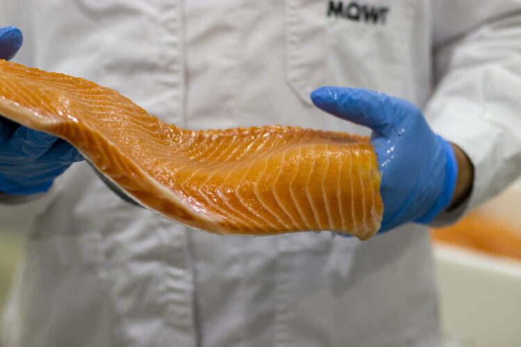 Disminuyen exportaciones de salmón y trucha en marzo 2024