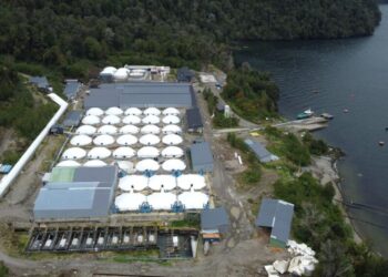 Piscicultura Fiordo Aysén, produciendo salmón en la patagonia profunda