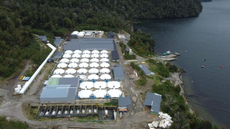 Piscicultura Fiordo Aysén, produciendo salmón en la patagonia profunda