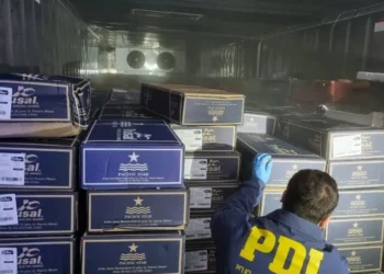 «Operación Santo Salmón» de PDI logra recuperar $600 millones